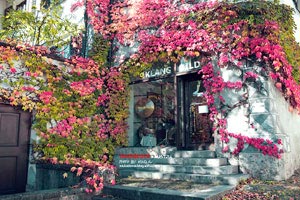 波黑国家队在国际比赛中取得胜利