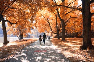 NBA宣布暂停所有球队集训，球员自我训练——危机中的机会与改变